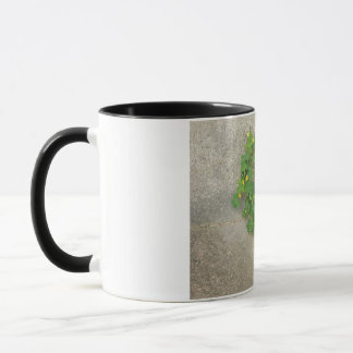 Mug muqueuse avec conception naturelle du coeur de trè