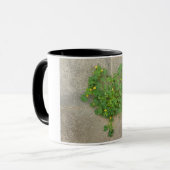 Mug muqueuse avec conception naturelle du coeur de trè (Devant gauche)