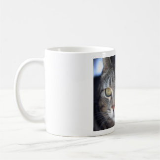 Mug muqueuse photo de chat