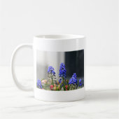 Mug muscaris à grappe (Gauche)