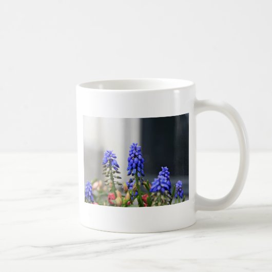 Mug muscaris à grappe (Droite)