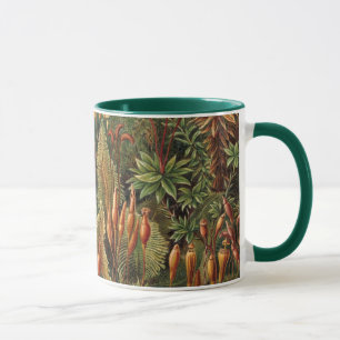 Mug Muscinae vintage, Plantes de la mousse par Ernst H