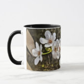 Mug Musique d'art Plum Blossom (Gauche)