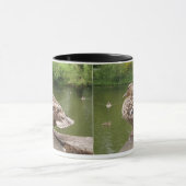 Mug Musique de canard (Centre)