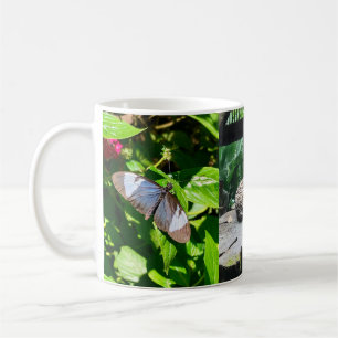 Mug Musique de cascade faunique du Costa Rica
