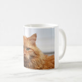 Mug Musique de chat de la forêt norvégienne (Devant droit)