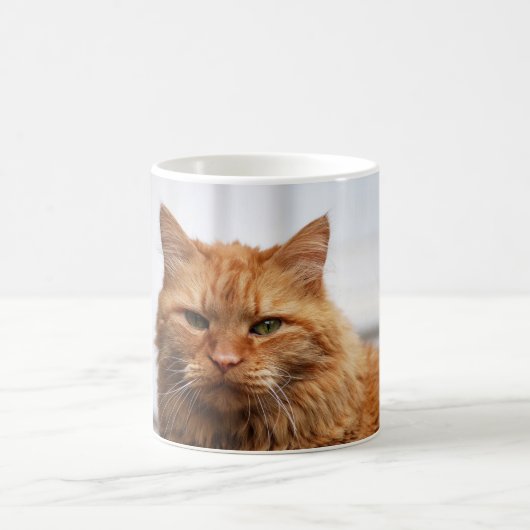 Mug Musique de chat de la forêt norvégienne (Centre)