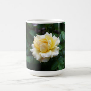 Mug Musique de rose blanche