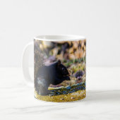 Mug Musique d'écureuil noir (Devant gauche)