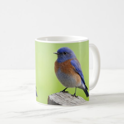 Mug Musique d'oiseau bleu de l'Ouest (Devant droit)