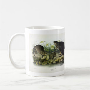 Mug Muskrat de Quadrupeds of North America d'Audubon