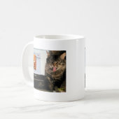 Mug My Cat étudie au MIT (Devant gauche)
