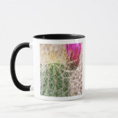 Mug N.A., États-Unis, AZ, Phoenix, Jardin botanique du (Gauche)
