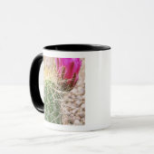 Mug N.A., États-Unis, AZ, Phoenix, Jardin botanique du (Devant gauche)