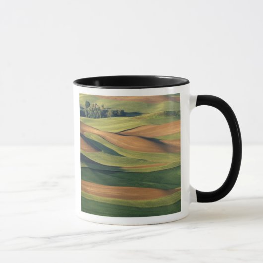 Mug N.A., États-Unis, Washington, comté de Whitman. (Droite)