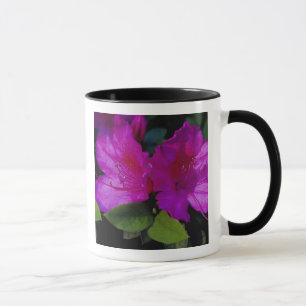 Mug N.A. USA, Géorgie, Savannah. Azalée en fleurs.