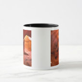 Mug NA, États-Unis, Arizona, Paria Canyon. Grès (Centre)