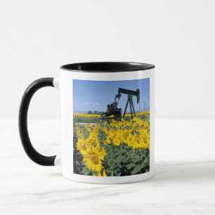 Mug Na, États-Unis, Colorado, Tournesols, Derrick de p