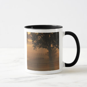 Mug NA, États-Unis, Kentucky. Lever de soleil brumeux