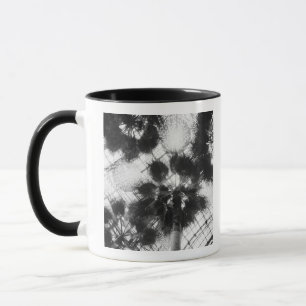Mug NA, États-Unis, New York, New York City. Palmiers