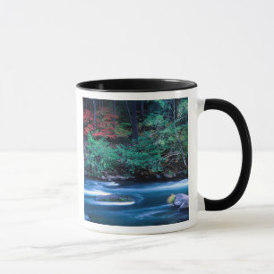Mug NA, États-Unis, Oregon, Feuillage d'automne sur No
