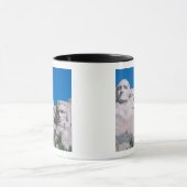 Mug NA, États-Unis, SD, mont Rushmore. (Centre)