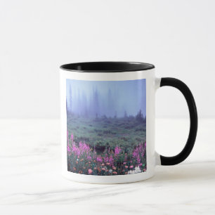 Mug NA, États-Unis, Washington, Foggy Alpine Meadow, 