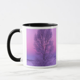 Mug NA, États-Unis, Wyoming, Parc national de Yellowst