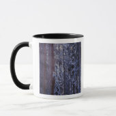 Mug NA, USA, Californie. Parc national de Sequoia.2 (Gauche)