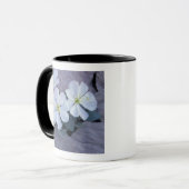 Mug NA, USA, Utah, Arches NP, Soirée de primrose (Devant gauche)