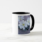 Mug NA, USA, Utah, Arches NP, Soirée de primrose (Devant droit)