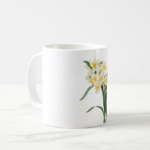 Mug narcisse (tazetta de narcisse) par Redouté (Devant gauche)