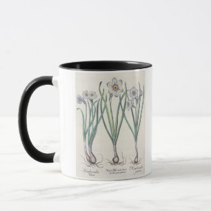 Mug Narcisses : purpureus de medio du maximus
