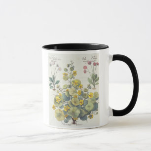 Mug Nasturces et marguerites : 1.Nasturtium Indicum ;