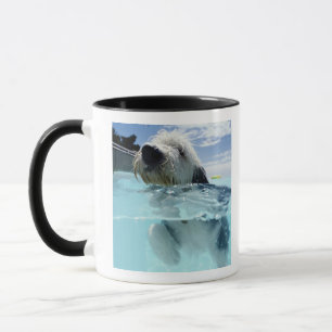 Mug Natation de chien dans une piscine