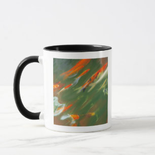 Mug Natation de poissons de carpe de Koi dans un étan