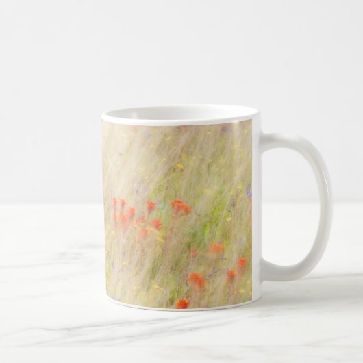 Mug Nature Conservancy | Îles San Juan, WA (Droite)