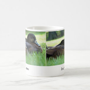 Mug Nature Journey Canard Musique