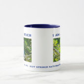 Mug Nature Photographie Shy Blue Jay Birder (Centre)