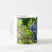 Mug Nature Photographie Shy Blue Jay Vêtements Cadeaux (Devant gauche)