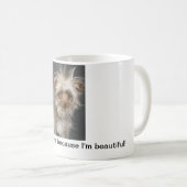 Mug Ne me détestez pas parce que je suis beau ! - (Devant droit)