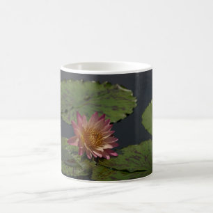 Mug Nénuphar rose