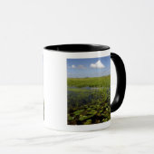 Mug Nénuphars et scirpe à feuilles de jonc dans les Ev (Devant droit)