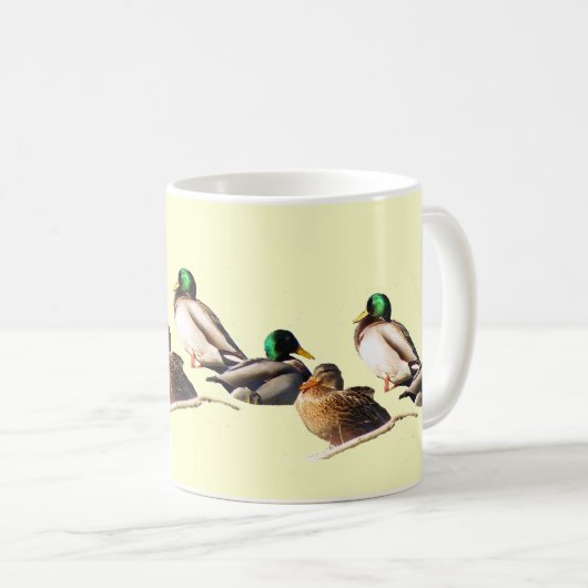 Mug Neuf Canards Mallard (Devant droit)