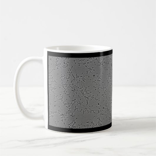 mug neurons (Gauche)