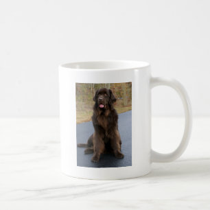 Mug Newfie Brown
