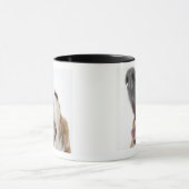 Mug Nez de s de chien ', plan rapproché (Centre)