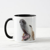 Mug Nez de s de chien ', plan rapproché (Gauche)