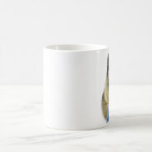 Mug Nom Akita (Centre)