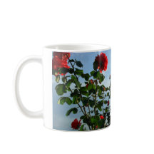 nom de photo de roses rouges salutations anniversa